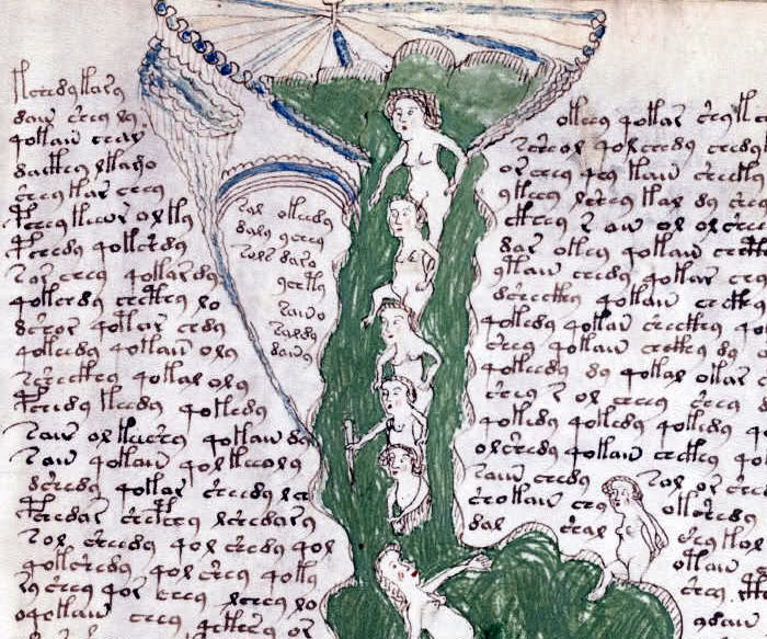 Il manoscritto Voynich - segreto eterna gioventù